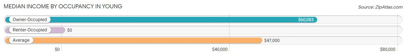 Median Income by Occupancy in Young