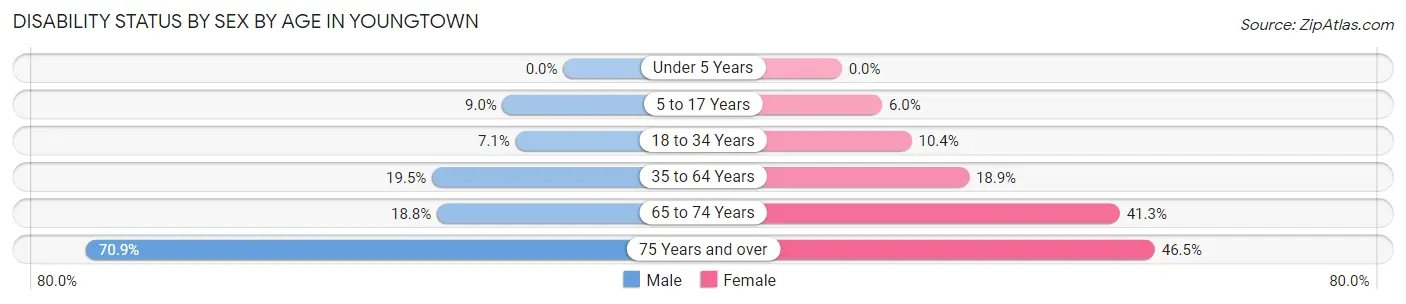 Disability Status by Sex by Age in Youngtown