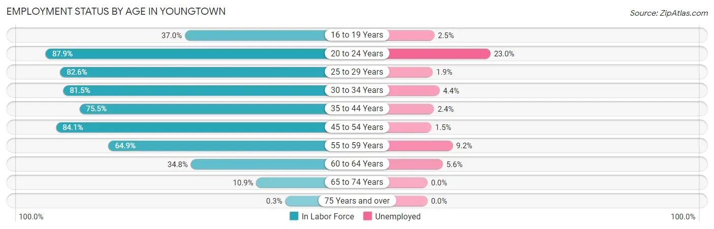 Employment Status by Age in Youngtown