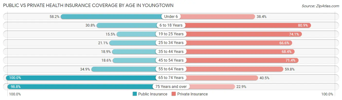 Public vs Private Health Insurance Coverage by Age in Youngtown