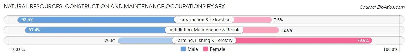 Natural Resources, Construction and Maintenance Occupations by Sex in Acton