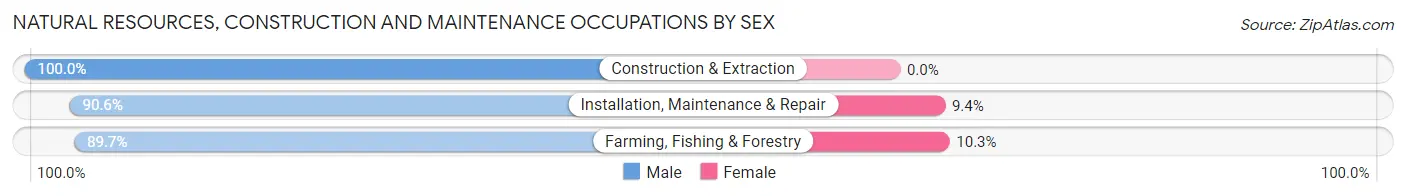 Natural Resources, Construction and Maintenance Occupations by Sex in Adelanto