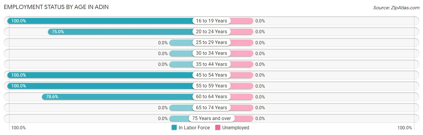 Employment Status by Age in Adin