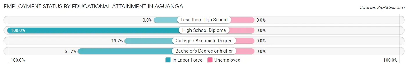 Employment Status by Educational Attainment in Aguanga