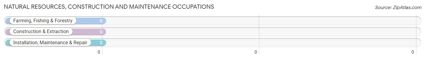 Natural Resources, Construction and Maintenance Occupations in Alleghany