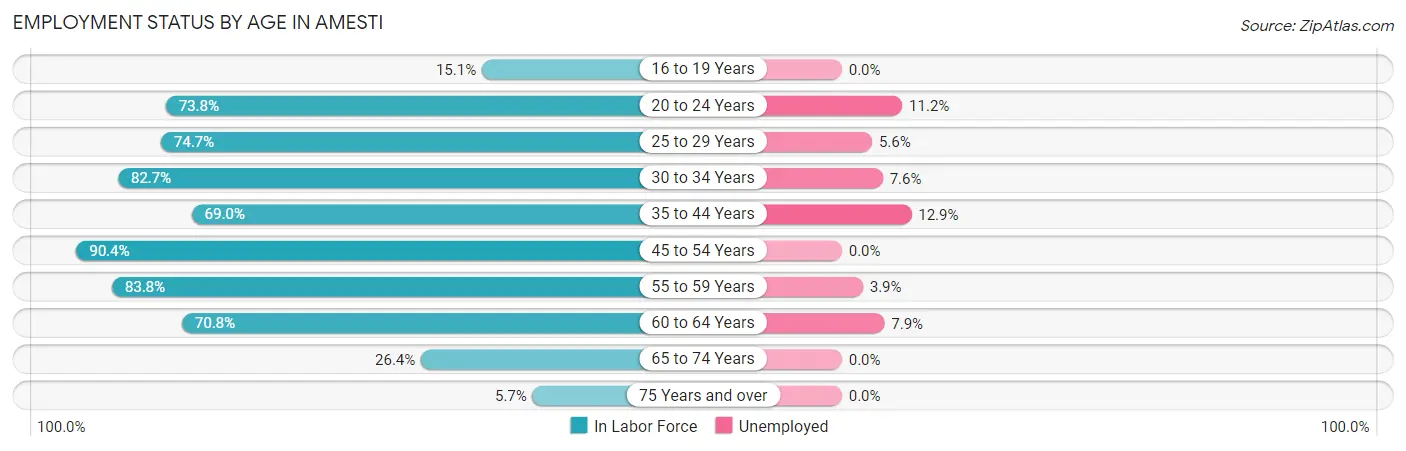 Employment Status by Age in Amesti