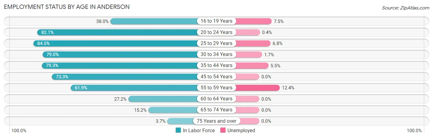 Employment Status by Age in Anderson