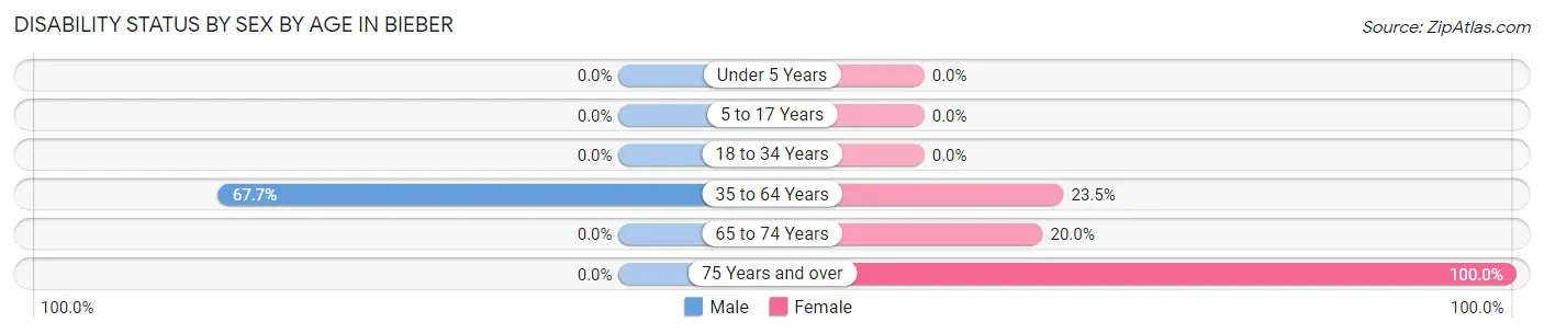 Disability Status by Sex by Age in Bieber