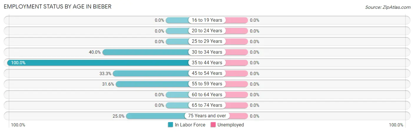 Employment Status by Age in Bieber