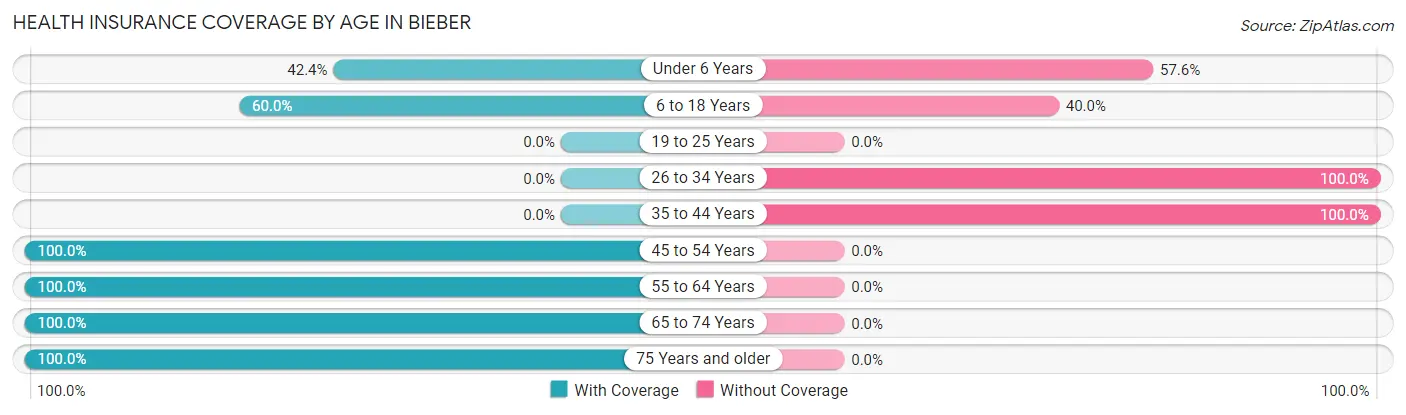 Health Insurance Coverage by Age in Bieber