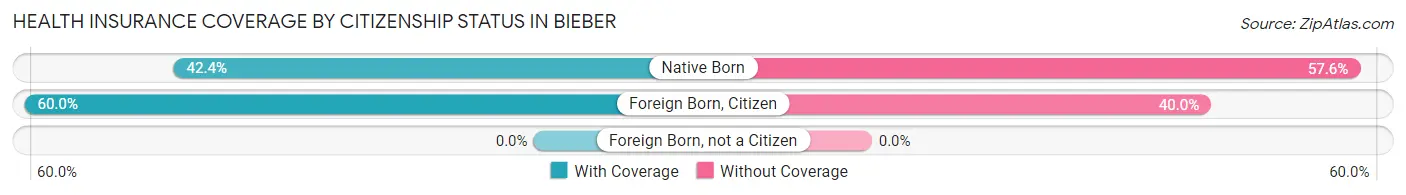 Health Insurance Coverage by Citizenship Status in Bieber