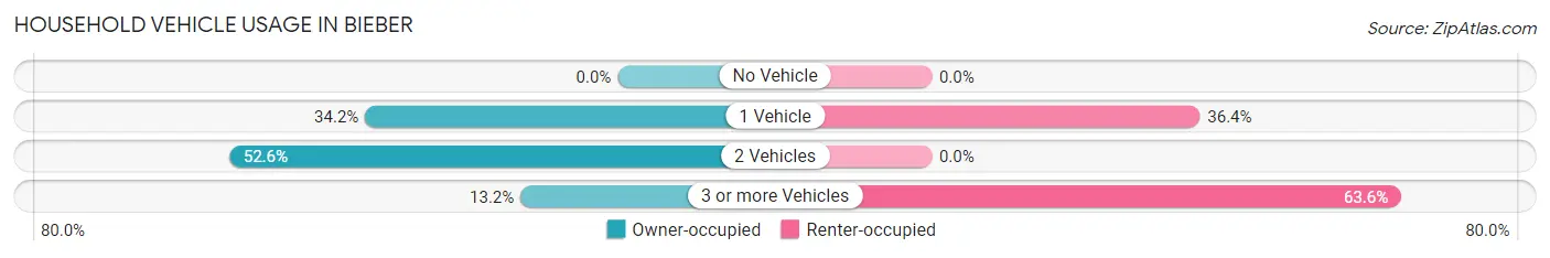 Household Vehicle Usage in Bieber