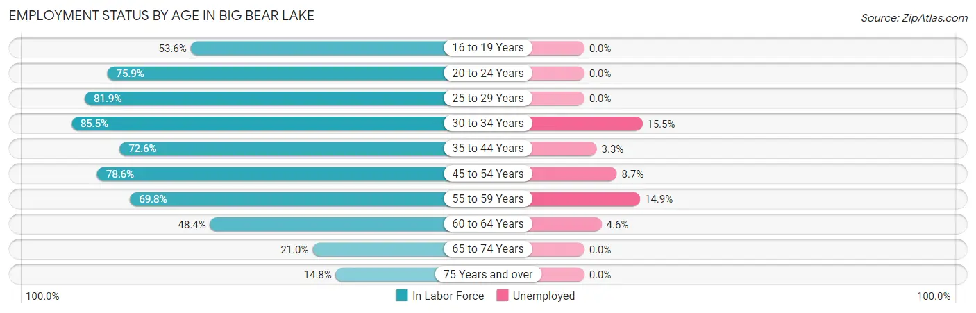 Employment Status by Age in Big Bear Lake