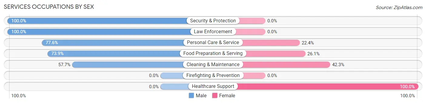 Services Occupations by Sex in Big Bear Lake