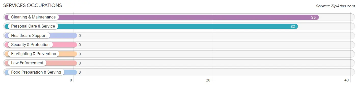 Services Occupations in Biola