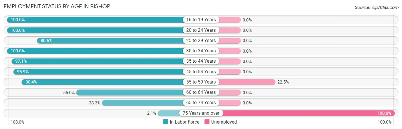 Employment Status by Age in Bishop