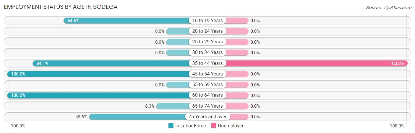 Employment Status by Age in Bodega