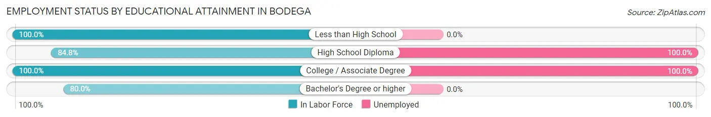 Employment Status by Educational Attainment in Bodega