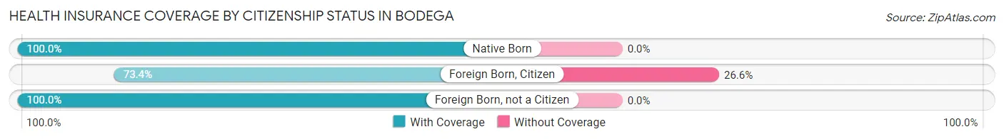 Health Insurance Coverage by Citizenship Status in Bodega