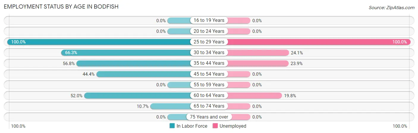 Employment Status by Age in Bodfish