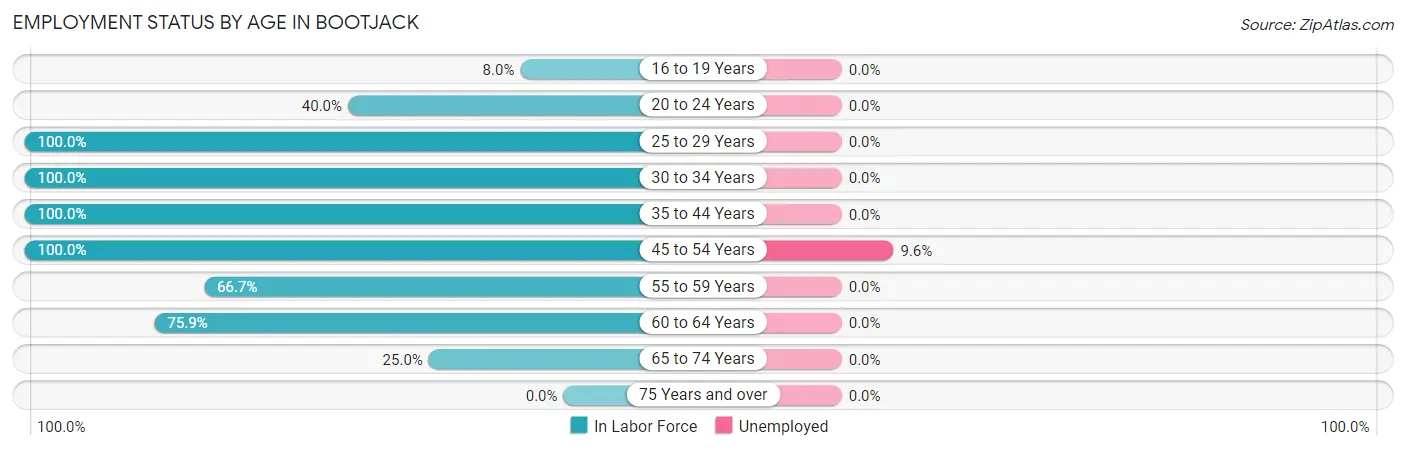 Employment Status by Age in Bootjack