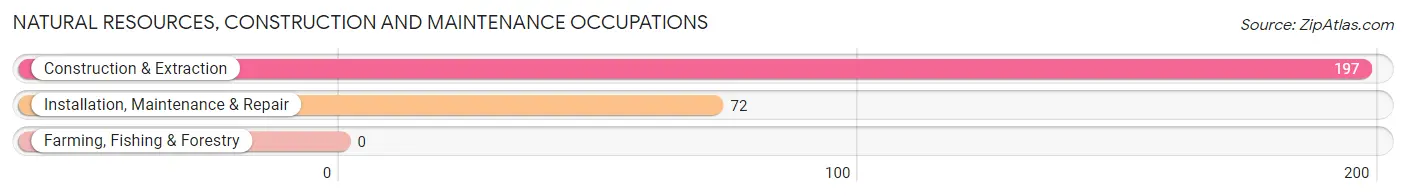 Natural Resources, Construction and Maintenance Occupations in Boulder Creek