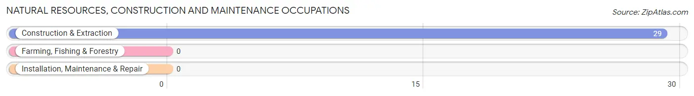 Natural Resources, Construction and Maintenance Occupations in Boulevard