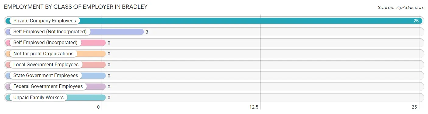 Employment by Class of Employer in Bradley