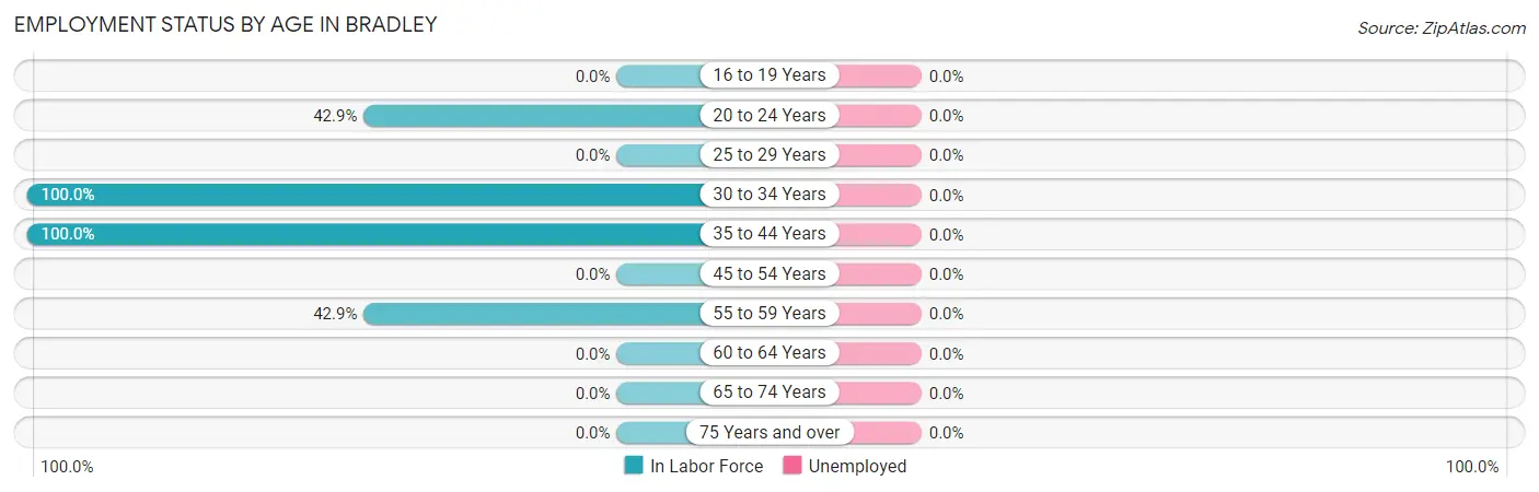 Employment Status by Age in Bradley