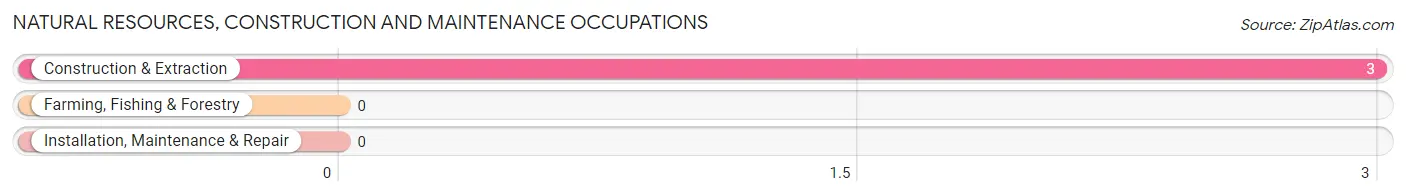 Natural Resources, Construction and Maintenance Occupations in Bradley