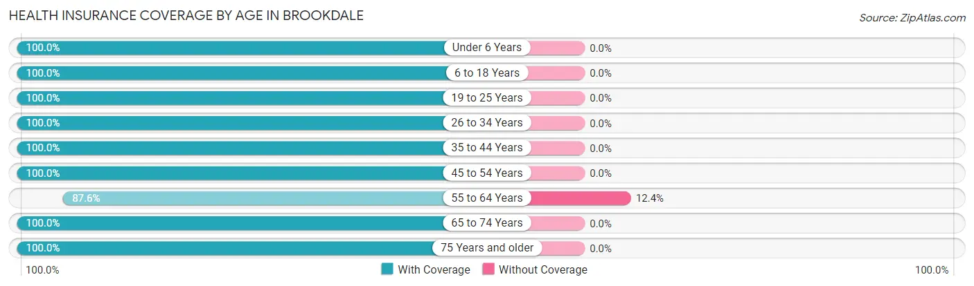 Health Insurance Coverage by Age in Brookdale