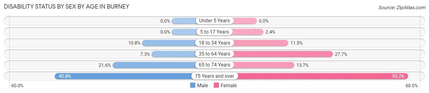 Disability Status by Sex by Age in Burney
