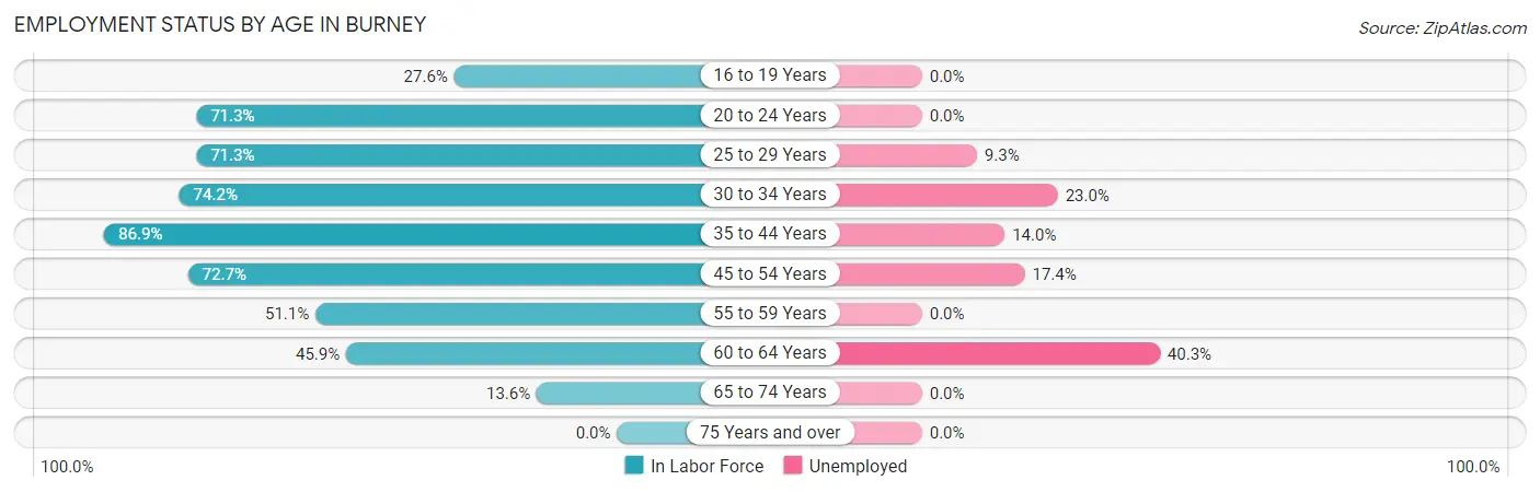 Employment Status by Age in Burney