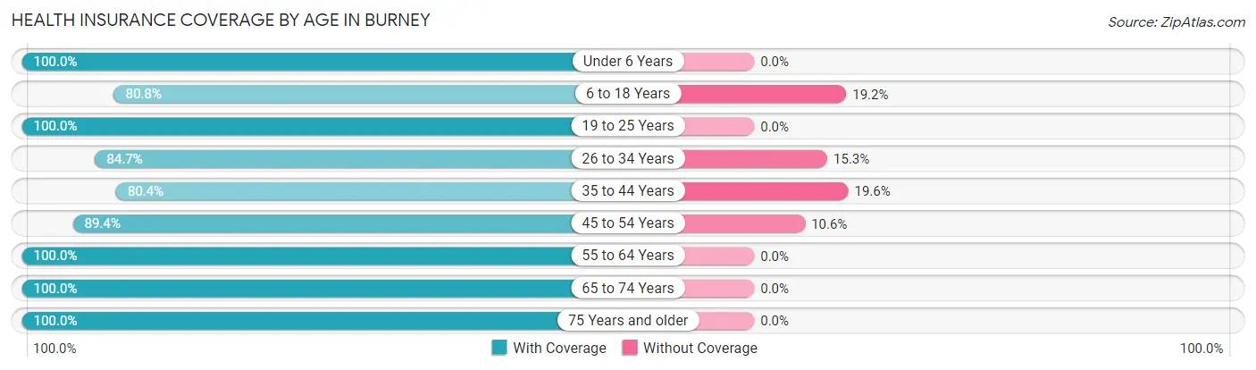 Health Insurance Coverage by Age in Burney