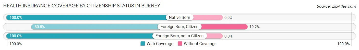 Health Insurance Coverage by Citizenship Status in Burney