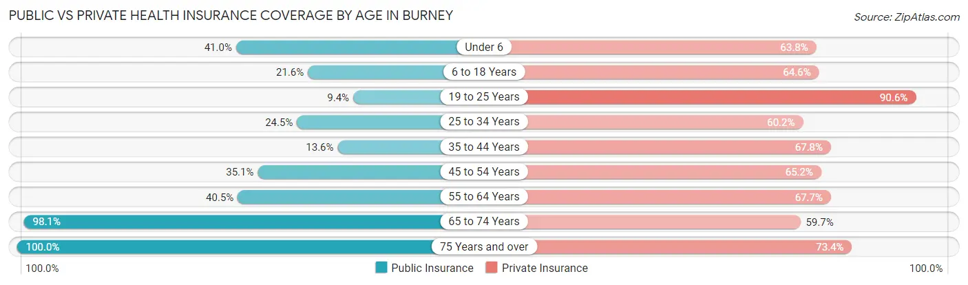 Public vs Private Health Insurance Coverage by Age in Burney