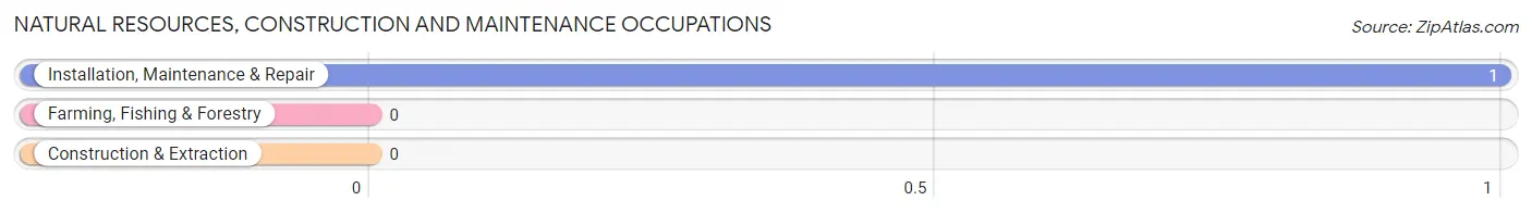 Natural Resources, Construction and Maintenance Occupations in Burnt Ranch