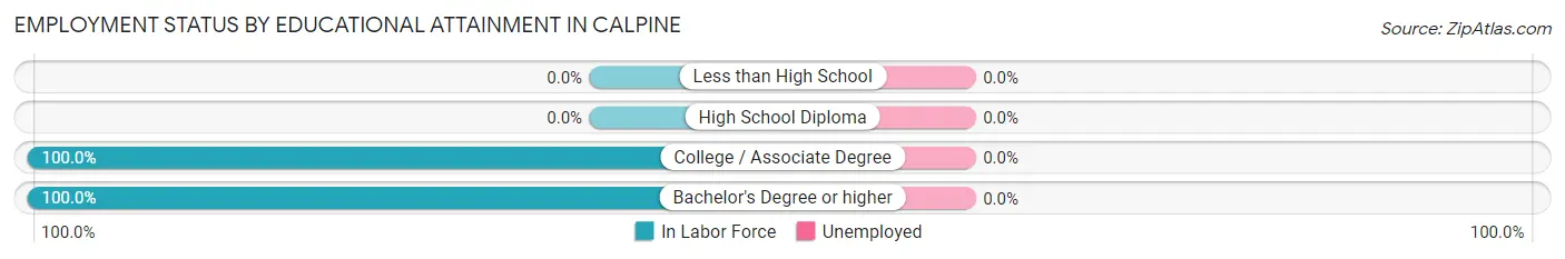 Employment Status by Educational Attainment in Calpine