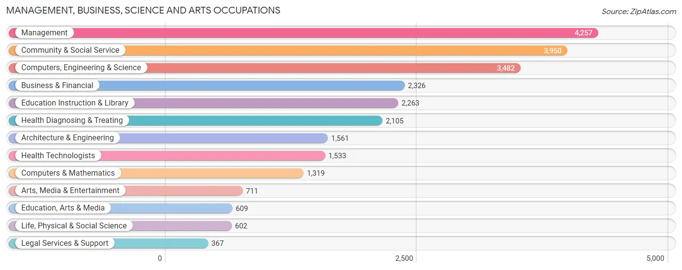 Management, Business, Science and Arts Occupations in Camarillo