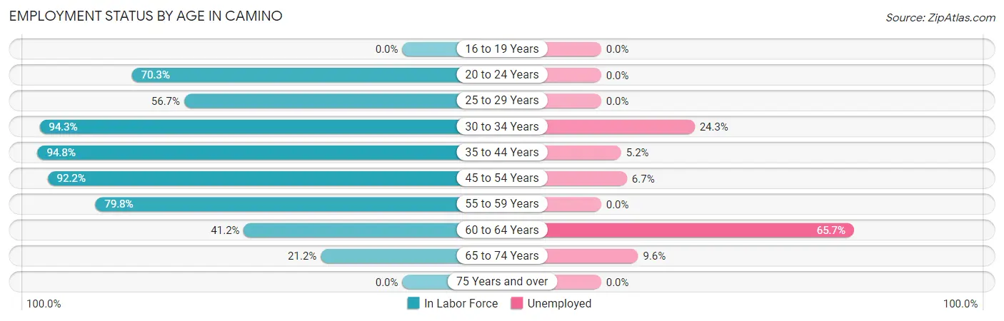 Employment Status by Age in Camino