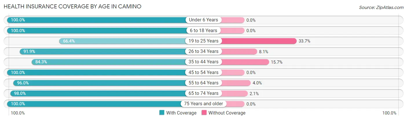 Health Insurance Coverage by Age in Camino