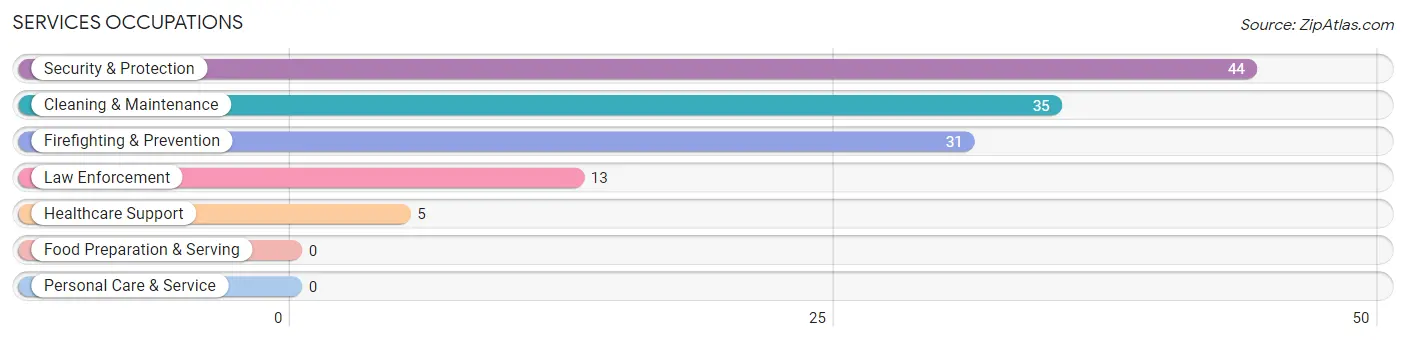 Services Occupations in Camino