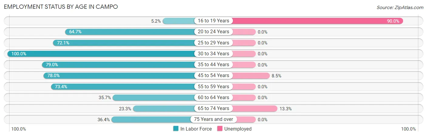 Employment Status by Age in Campo
