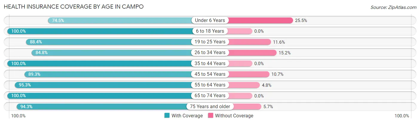 Health Insurance Coverage by Age in Campo