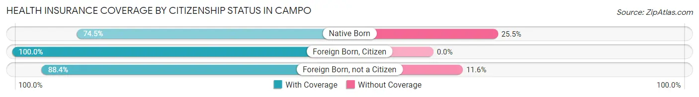 Health Insurance Coverage by Citizenship Status in Campo