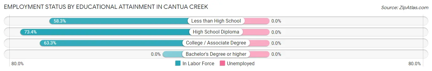 Employment Status by Educational Attainment in Cantua Creek
