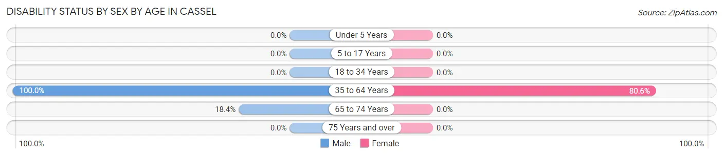 Disability Status by Sex by Age in Cassel