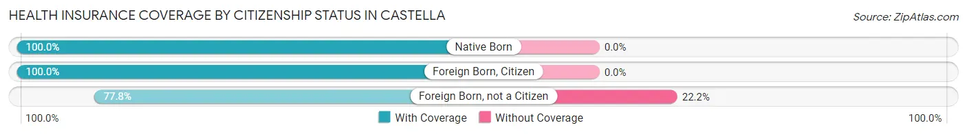 Health Insurance Coverage by Citizenship Status in Castella