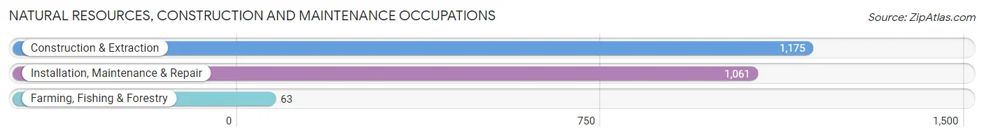 Natural Resources, Construction and Maintenance Occupations in Castro Valley