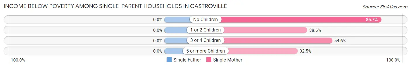 Income Below Poverty Among Single-Parent Households in Castroville